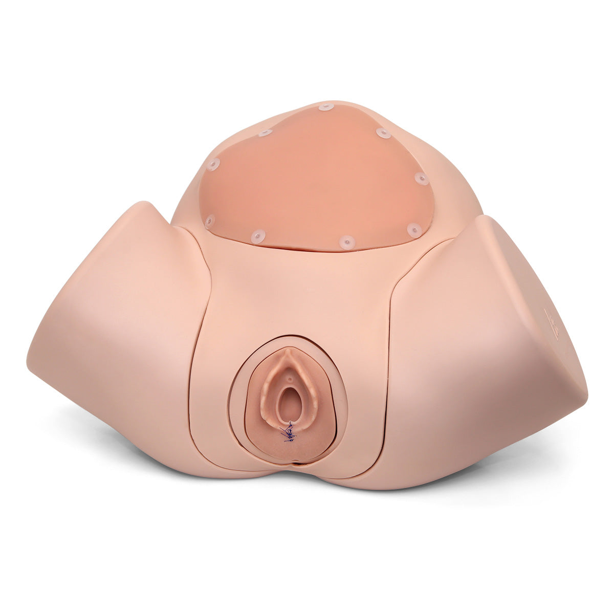 Episiotomy Suture Trainer Module P96