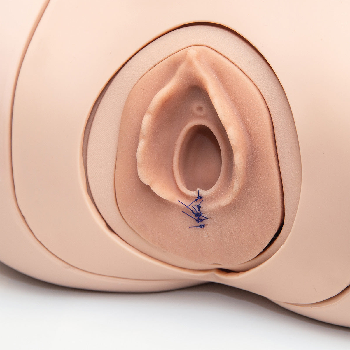 Episiotomy Suture Trainer Module P96