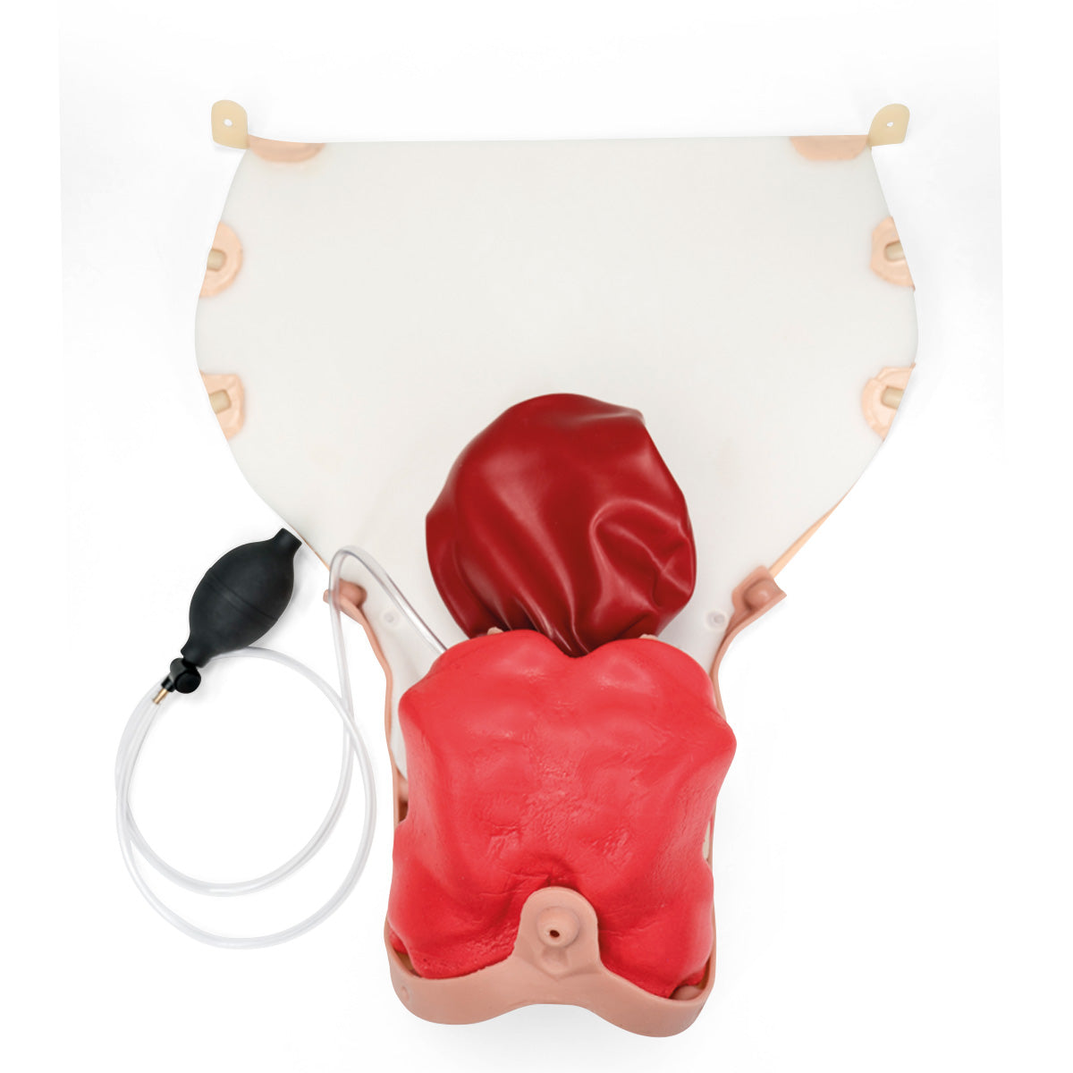 PPH Trainer P97 - Module