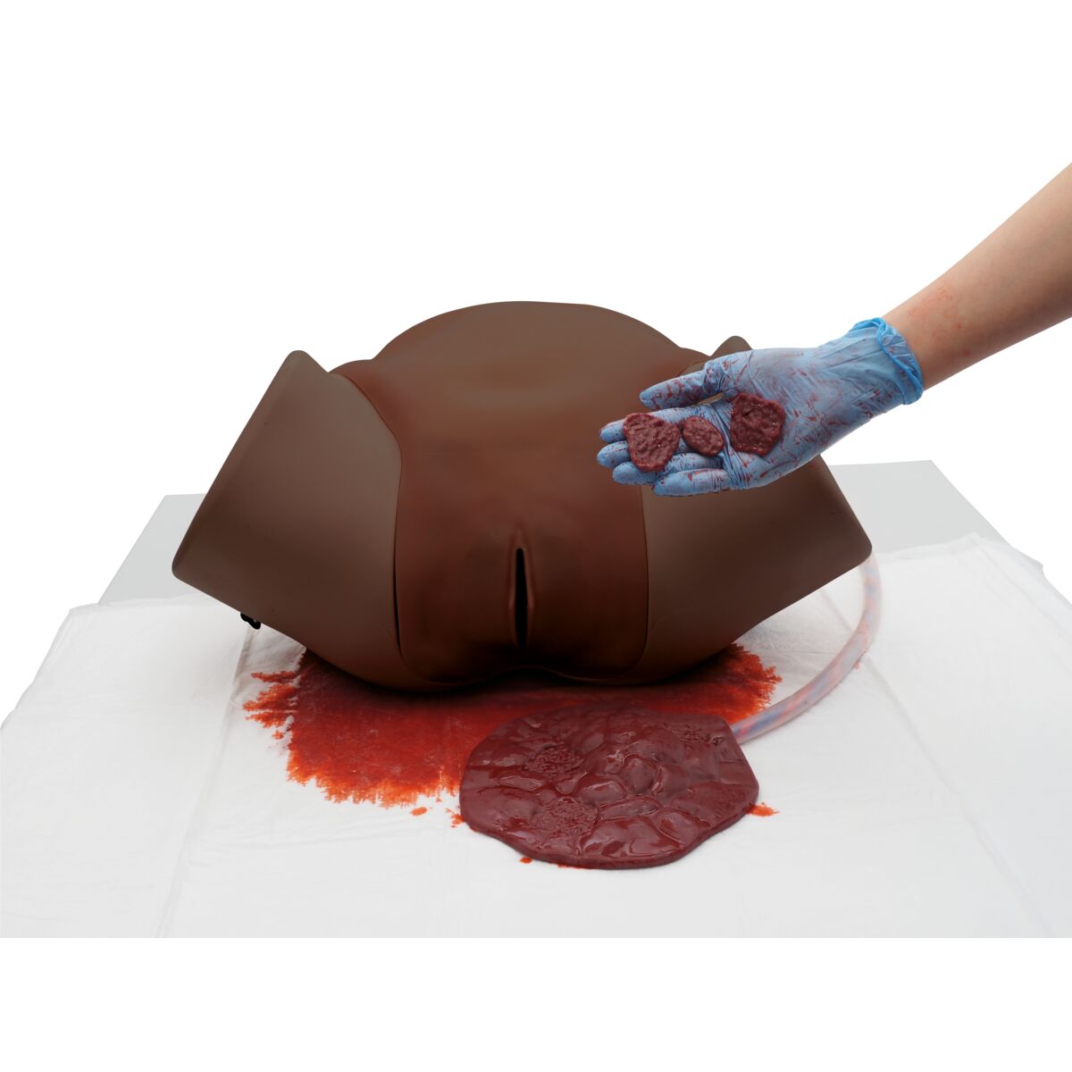 Postpartum Hemorrhage Simulator – PPH Trainer P97D PRO, Dark Skin