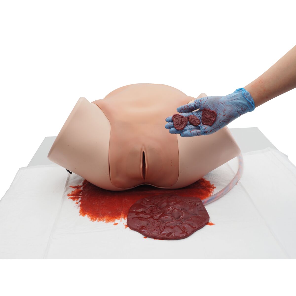 Postpartum Hemorrhage Simulator – PPH Trainer P97 PRO, Light Skin