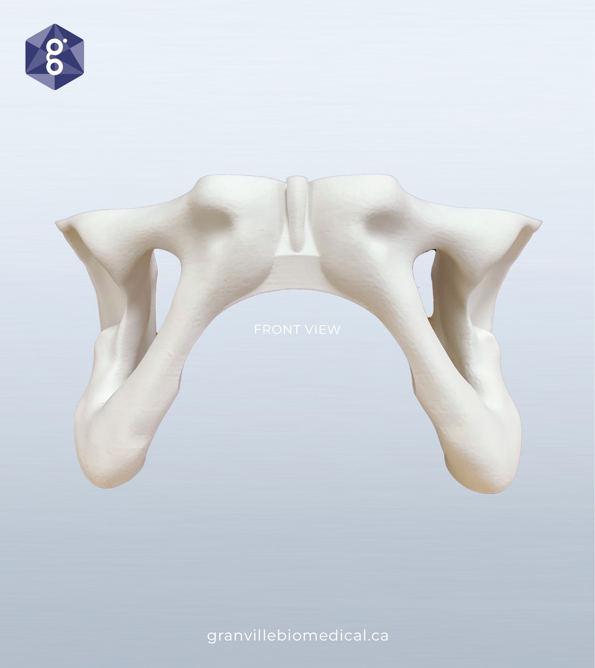 Lily pelvic bone component, front view