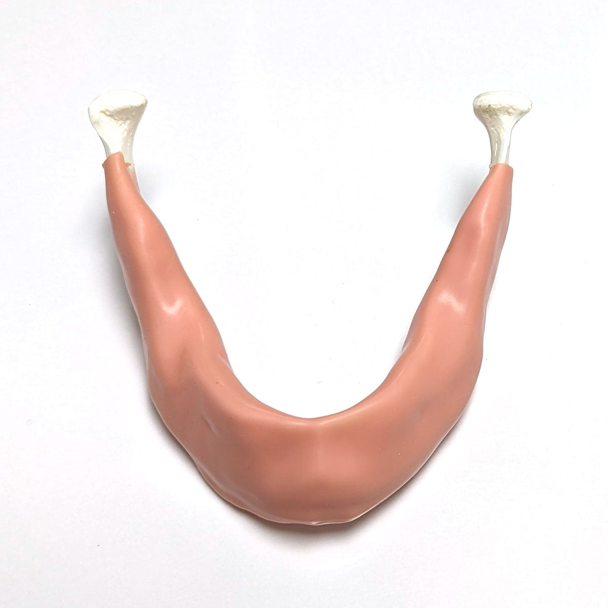Rubber Coated Mandible