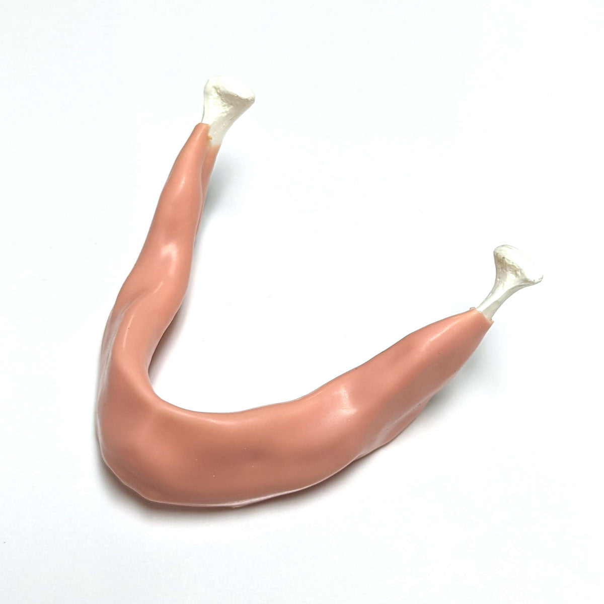 Rubber Coated Mandible