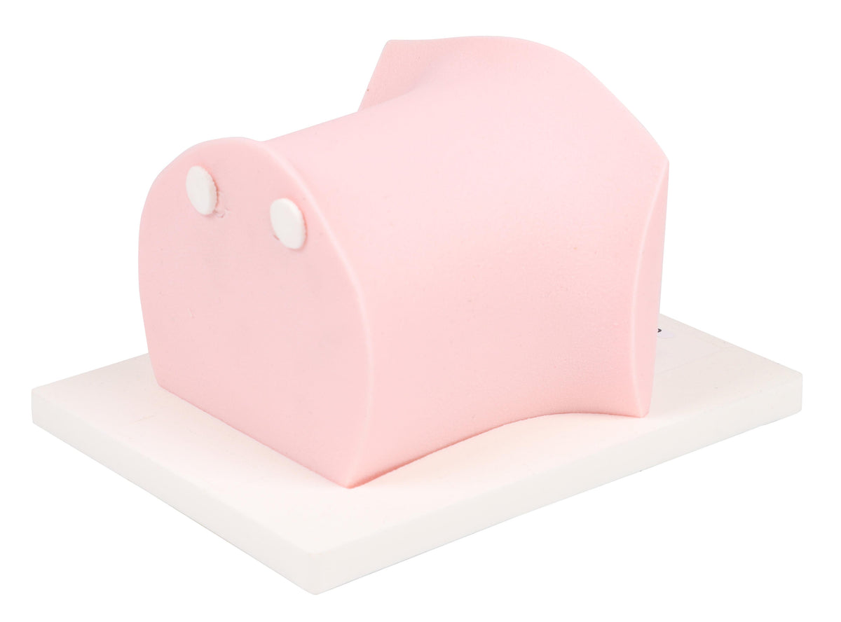 SonoEZ paediatric ultrasound trainer ‘ZVK’ | Erler-Zimmer SEZ-PD-CVC