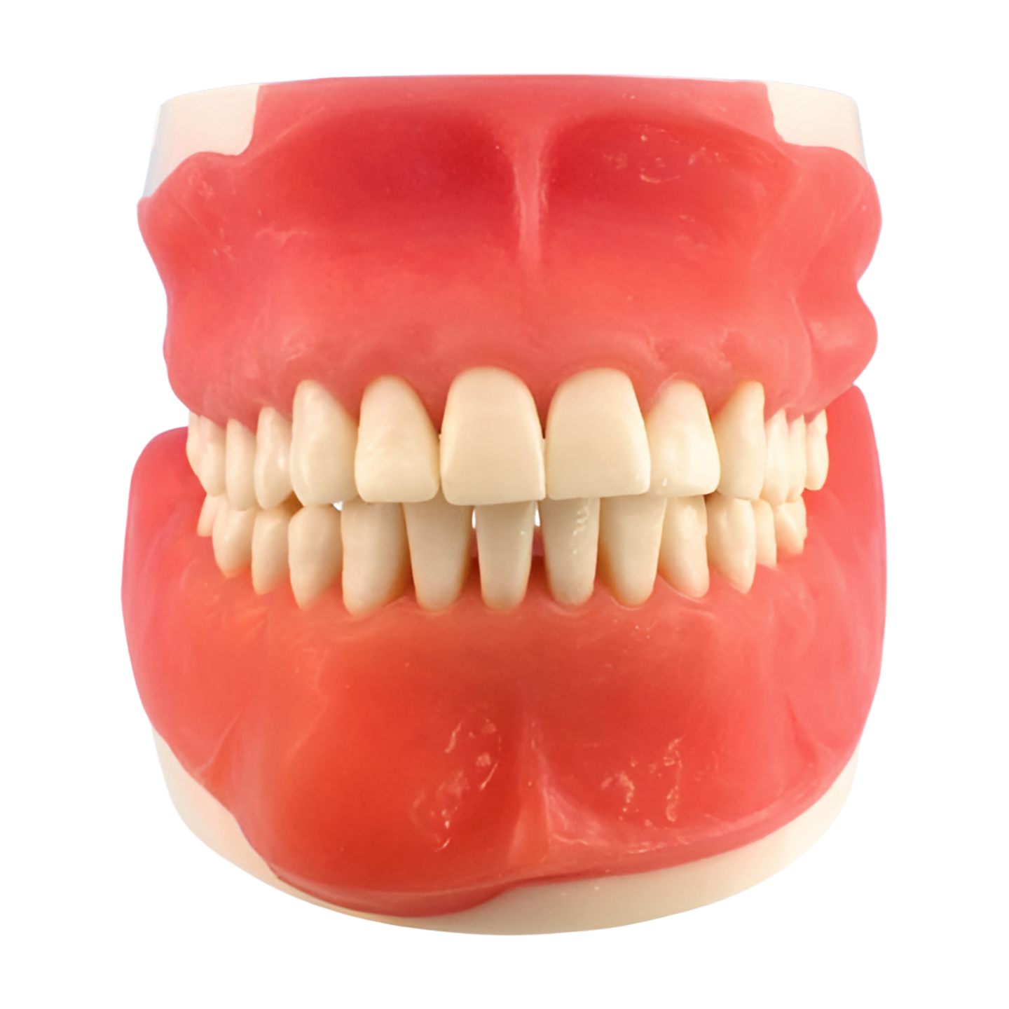SUG1003 – Oral Surgery - Kilgore / Nissin SUG1003