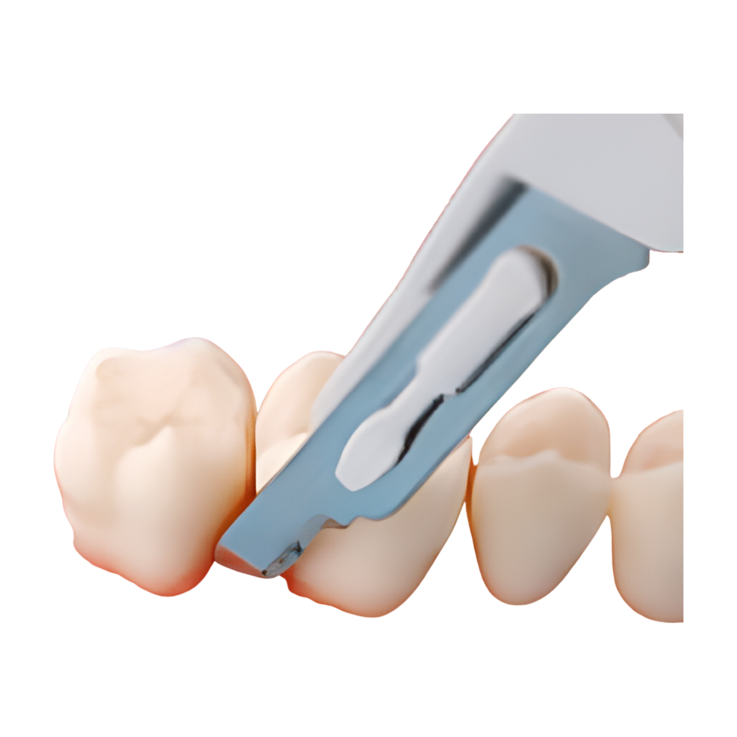 SUG1003 – Oral Surgery - Kilgore / Nissin SUG1003, view 4