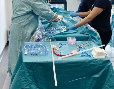 ECMO Trainer Professional MK2 - Erler-Zimmer TF400, view 5