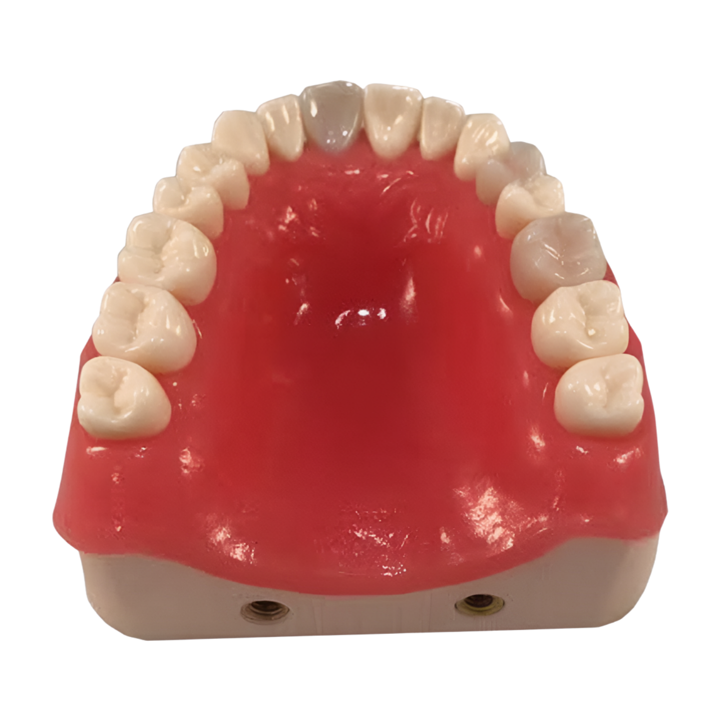 E95SHP-UCO.19 – Surgical - Kilgore / Nissin E95SHP-UCO.19