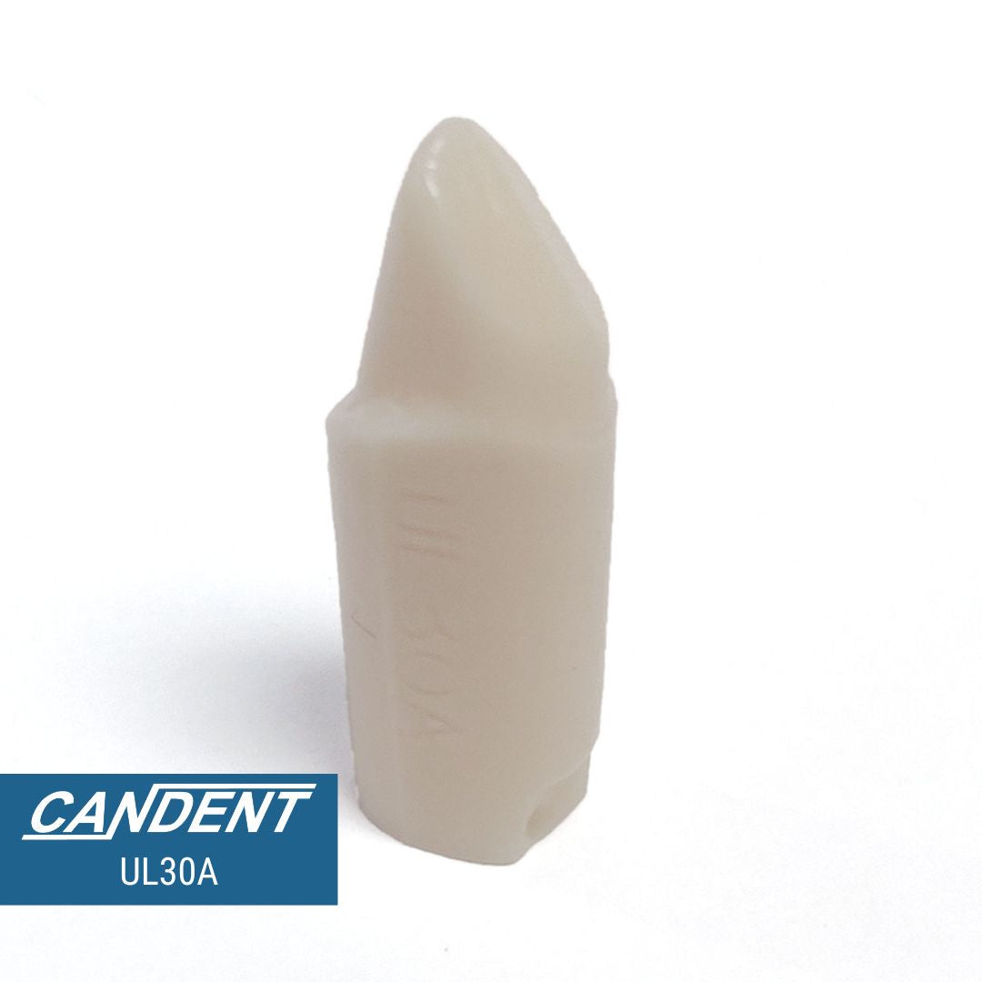 200 Series Pre-prepared Teeth