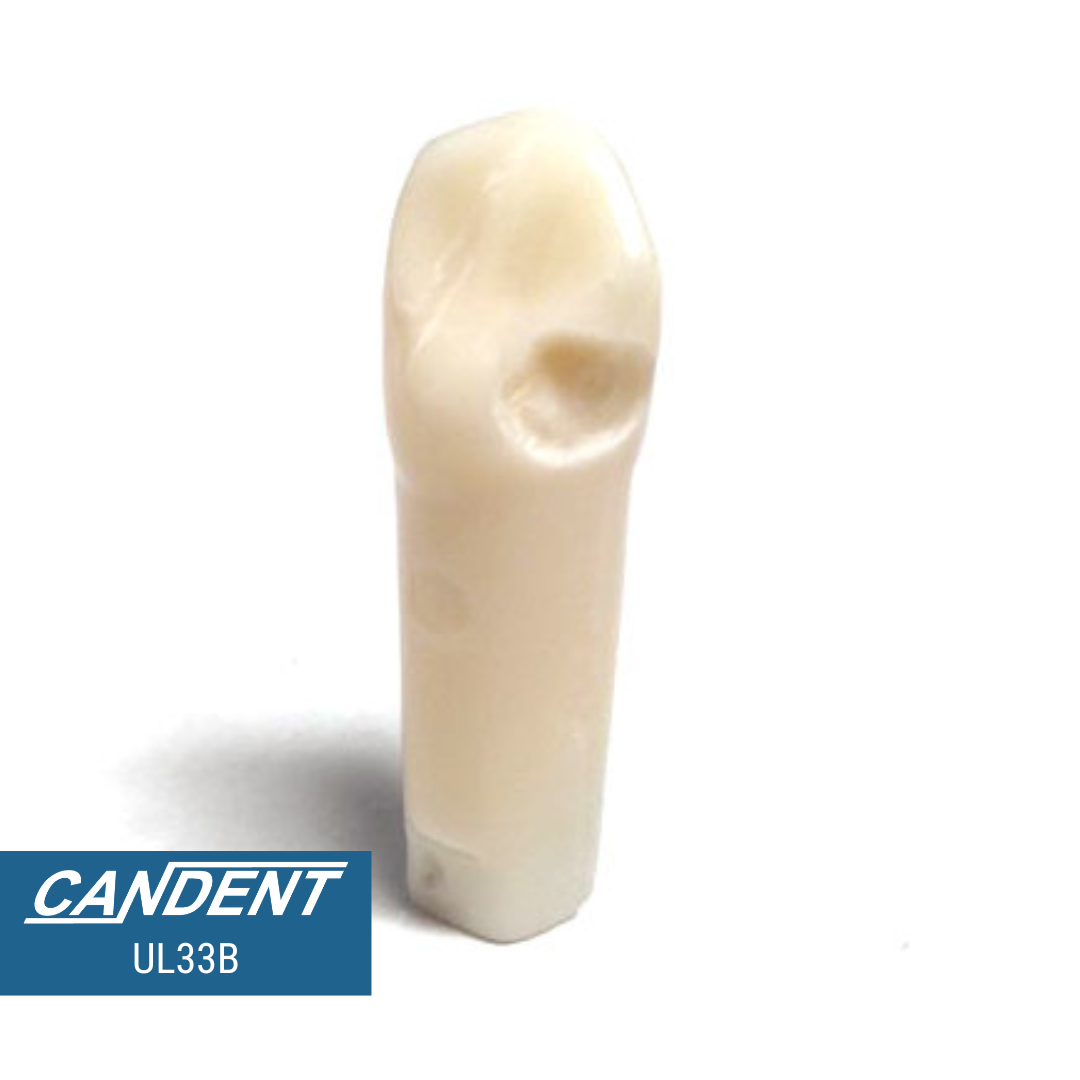 200 Series Pre-prepared Teeth