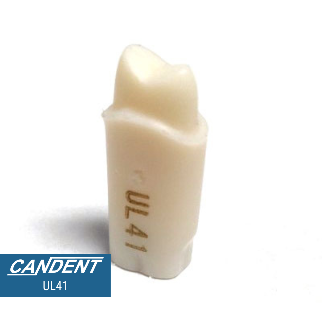 200 Series Pre-prepared Teeth