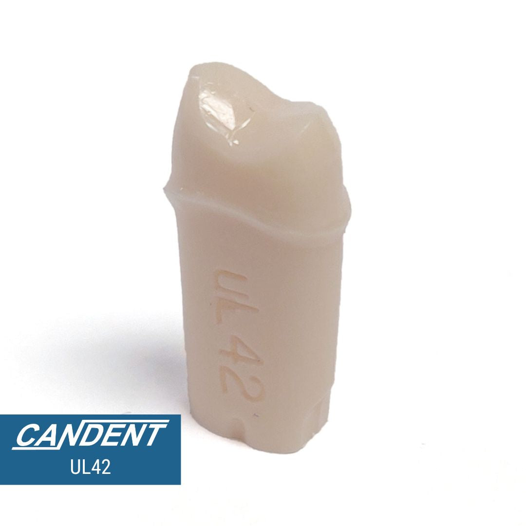 200 Series Pre-prepared Teeth