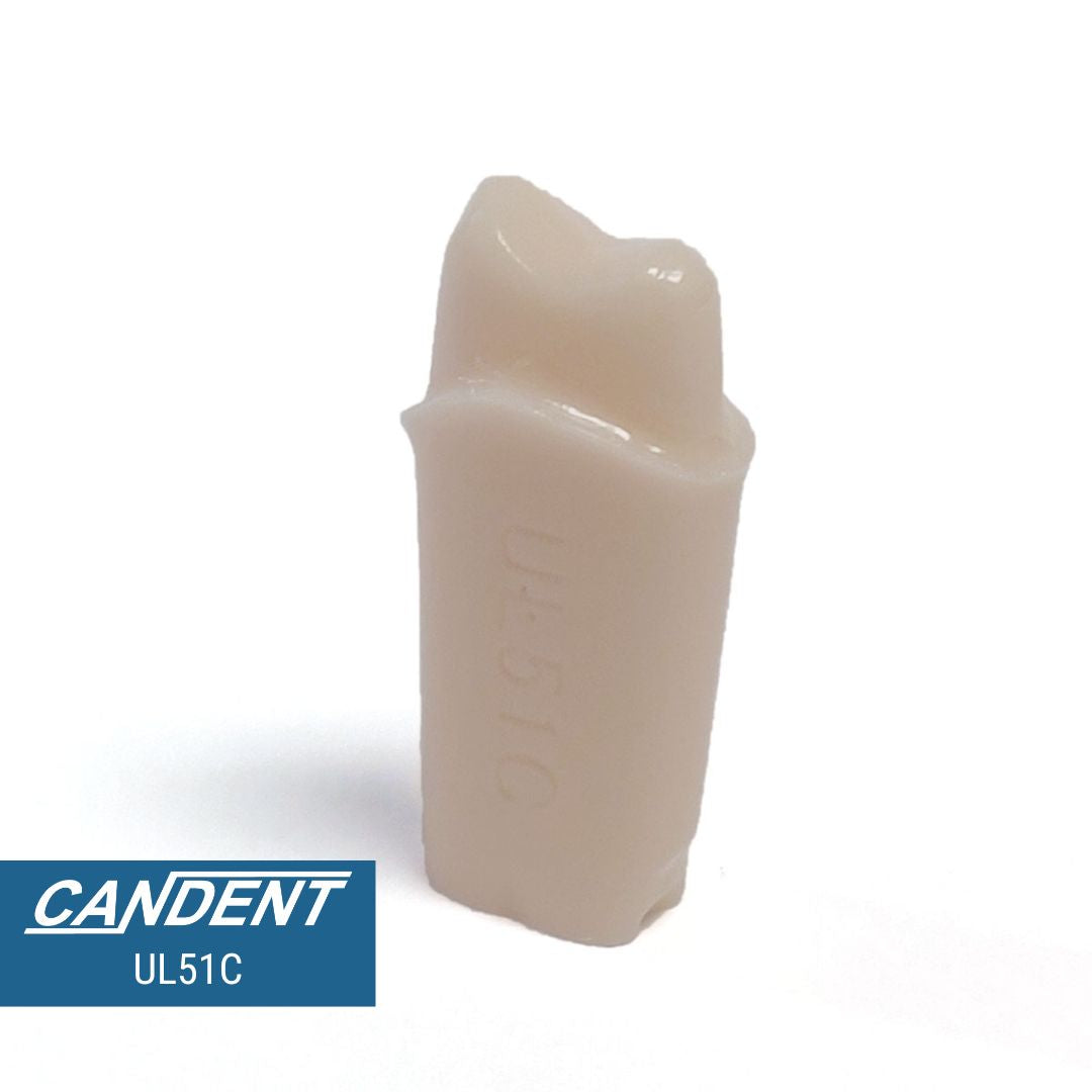 200 Series Pre-prepared Teeth