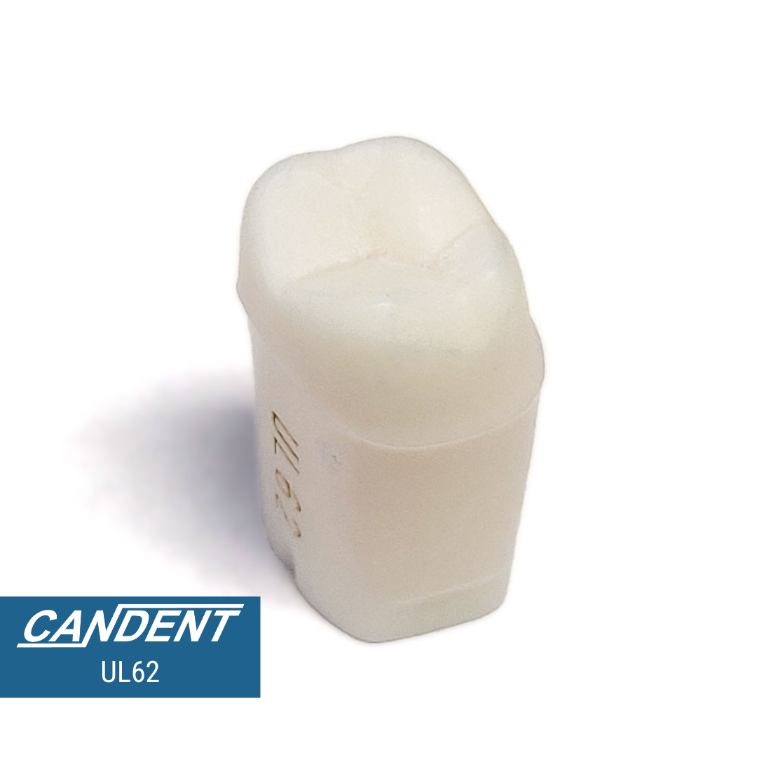 200 Series Pre-prepared Teeth