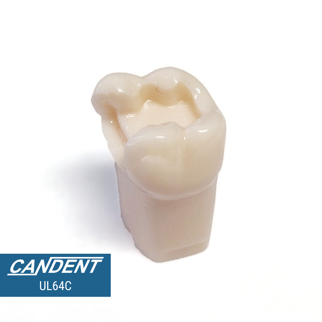 200 Series Pre-prepared Teeth