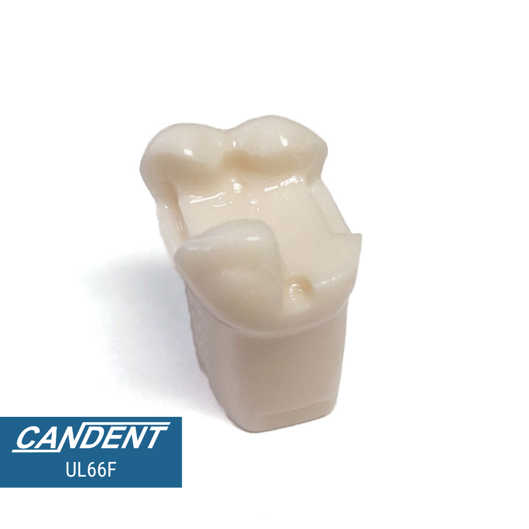 200 Series Pre-prepared Teeth