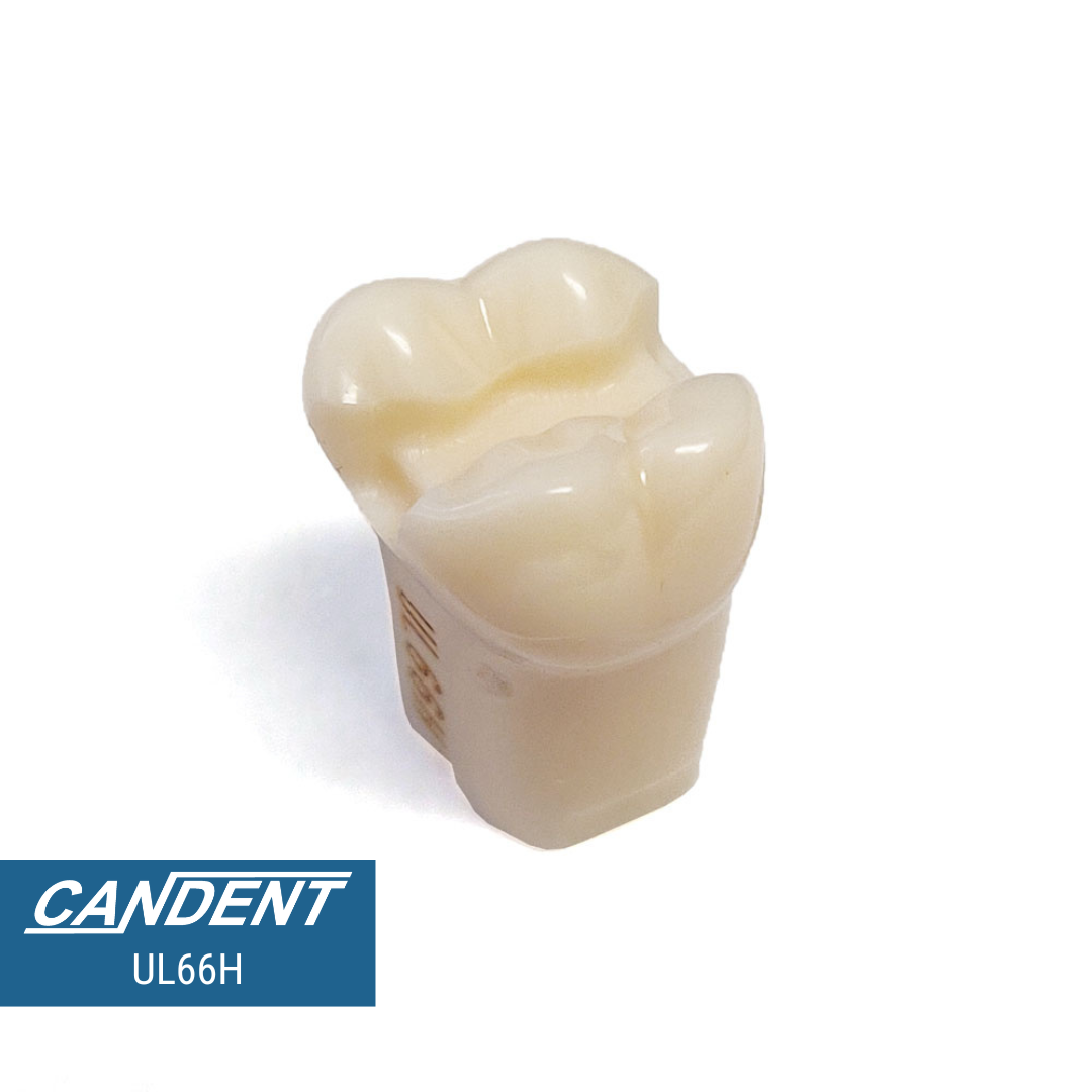 200 Series Pre-prepared Teeth