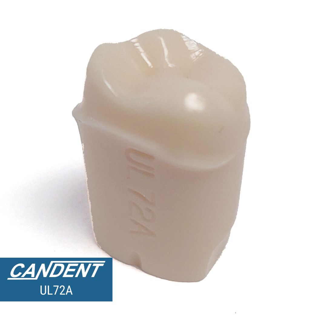 200 Series Pre-prepared Teeth