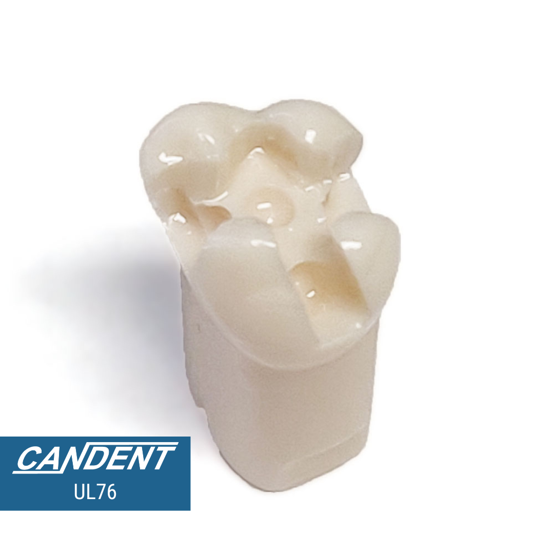 200 Series Pre-prepared Teeth