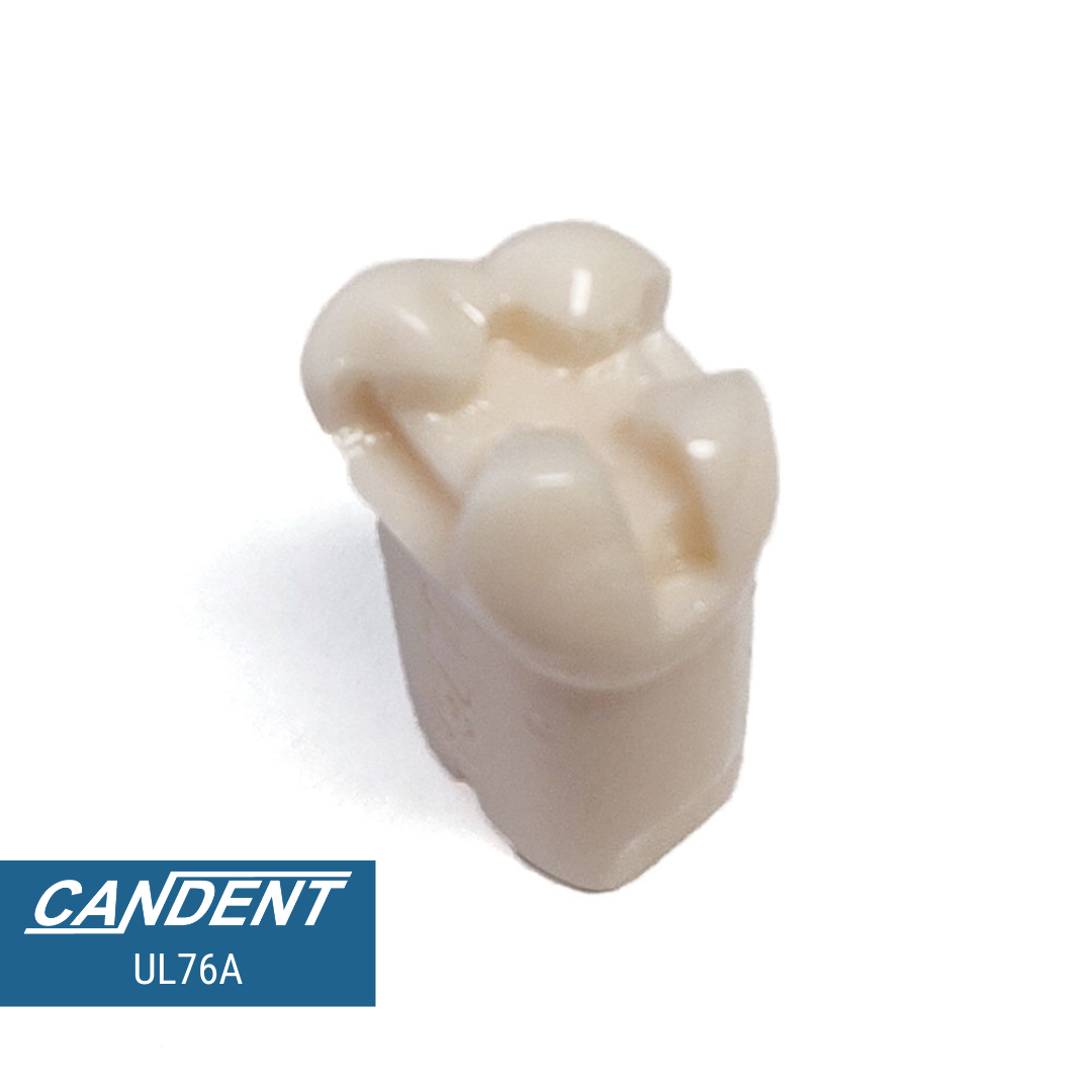 200 Series Pre-prepared Teeth