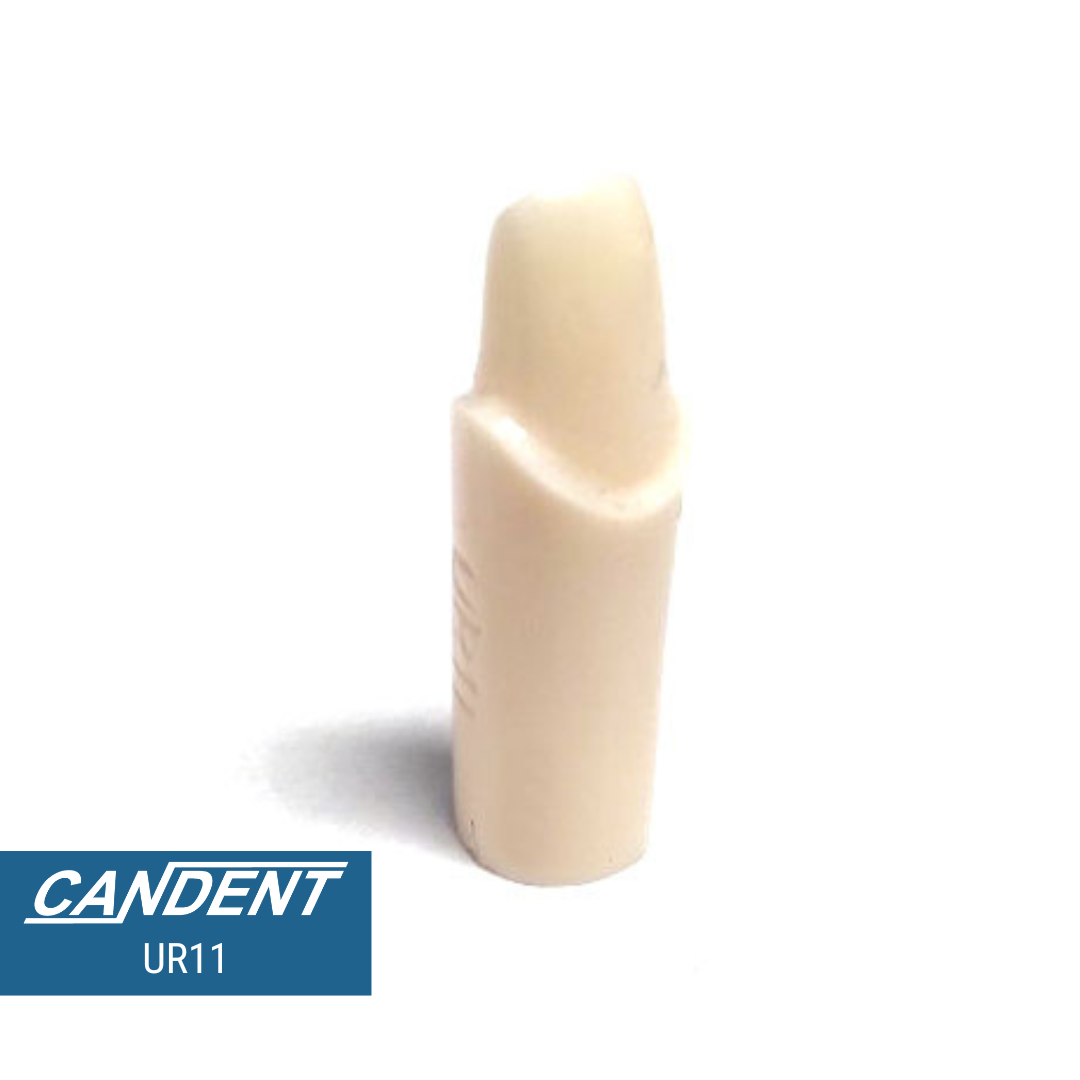 200 Series Pre-prepared Teeth