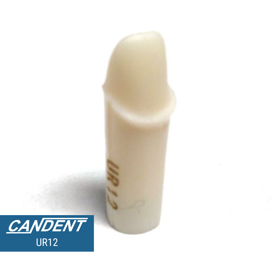 200 Series Pre-prepared Teeth