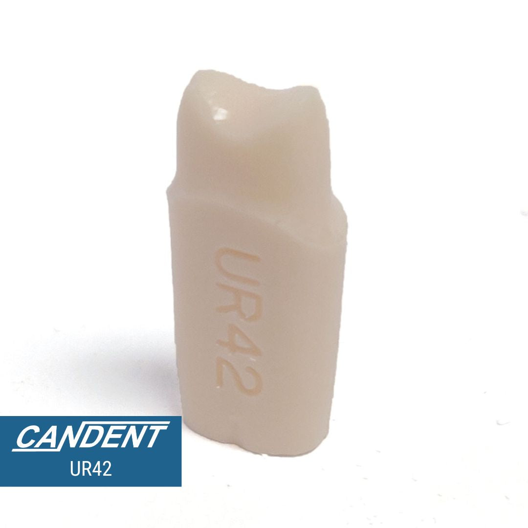 200 Series Pre-prepared Teeth