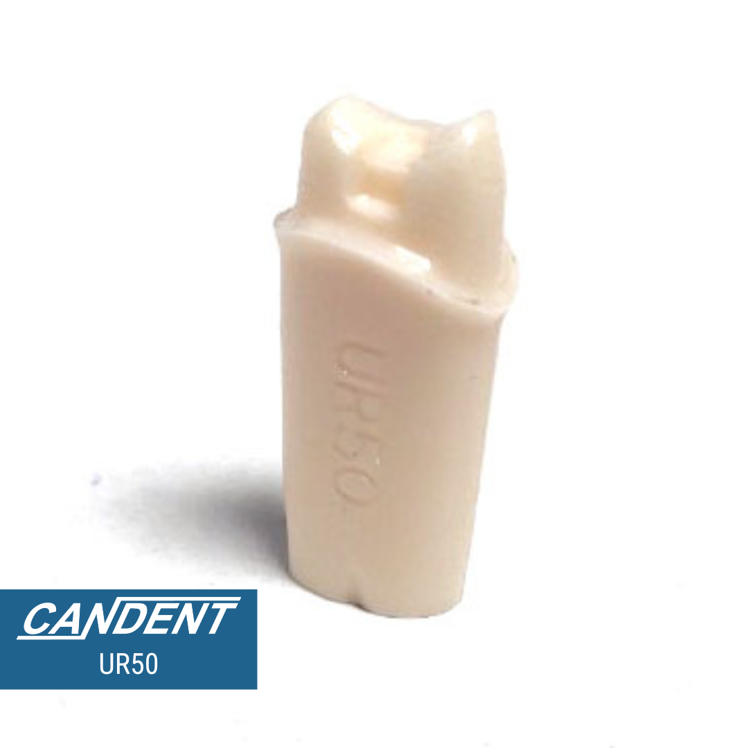 200 Series Pre-prepared Teeth