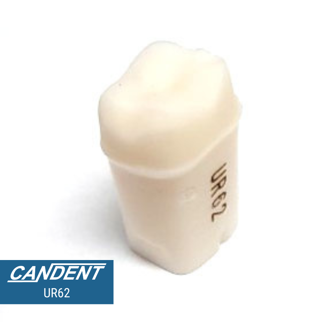 200 Series Pre-prepared Teeth