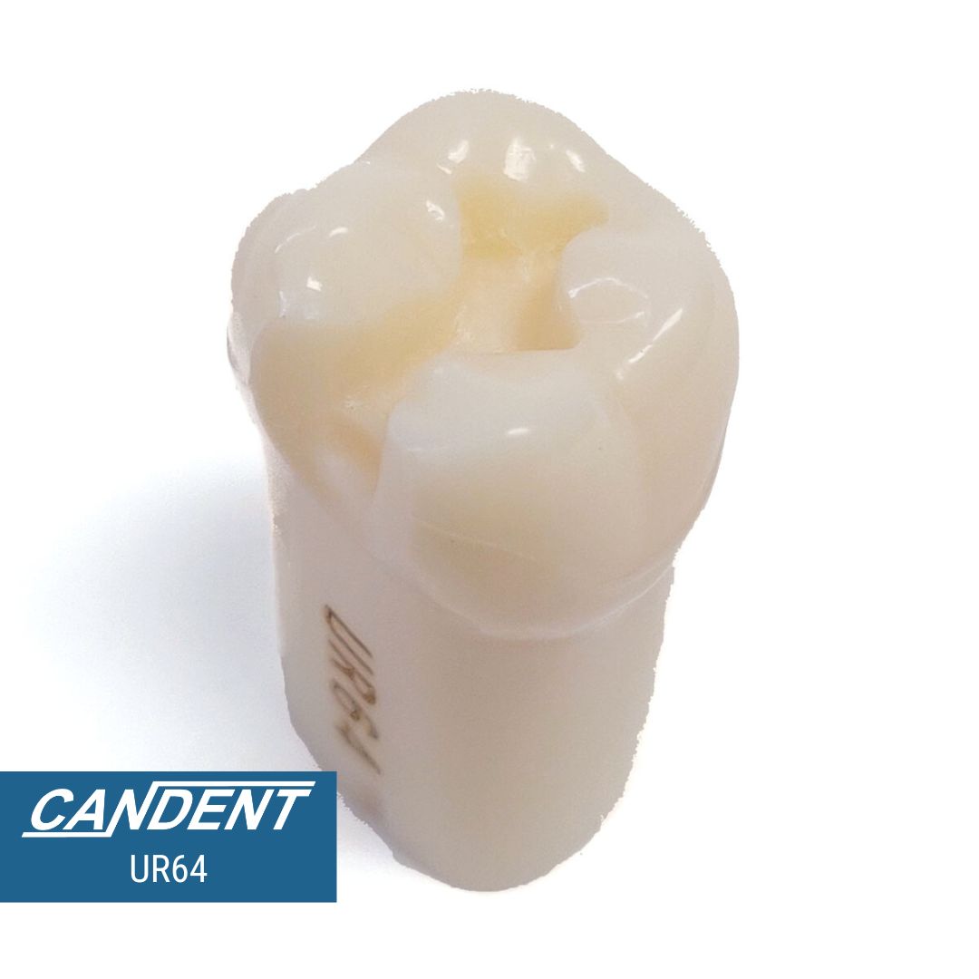 200 Series Pre-prepared Teeth