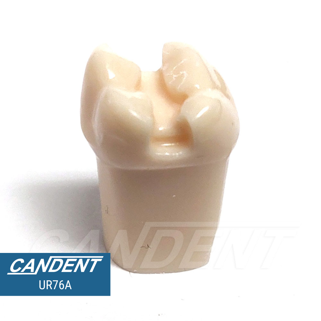 200 Series Pre-prepared Teeth