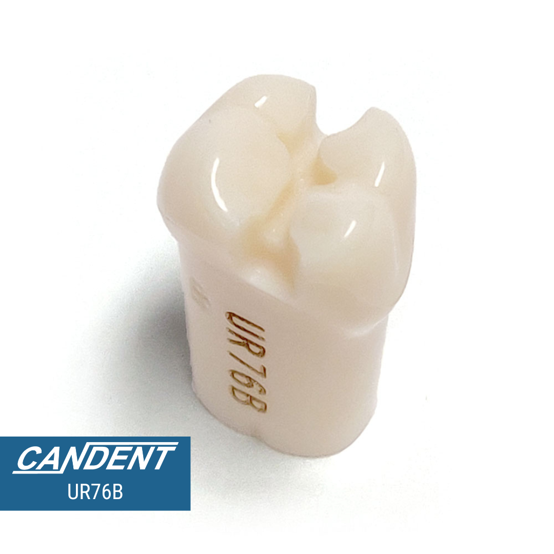 200 Series Pre-prepared Teeth