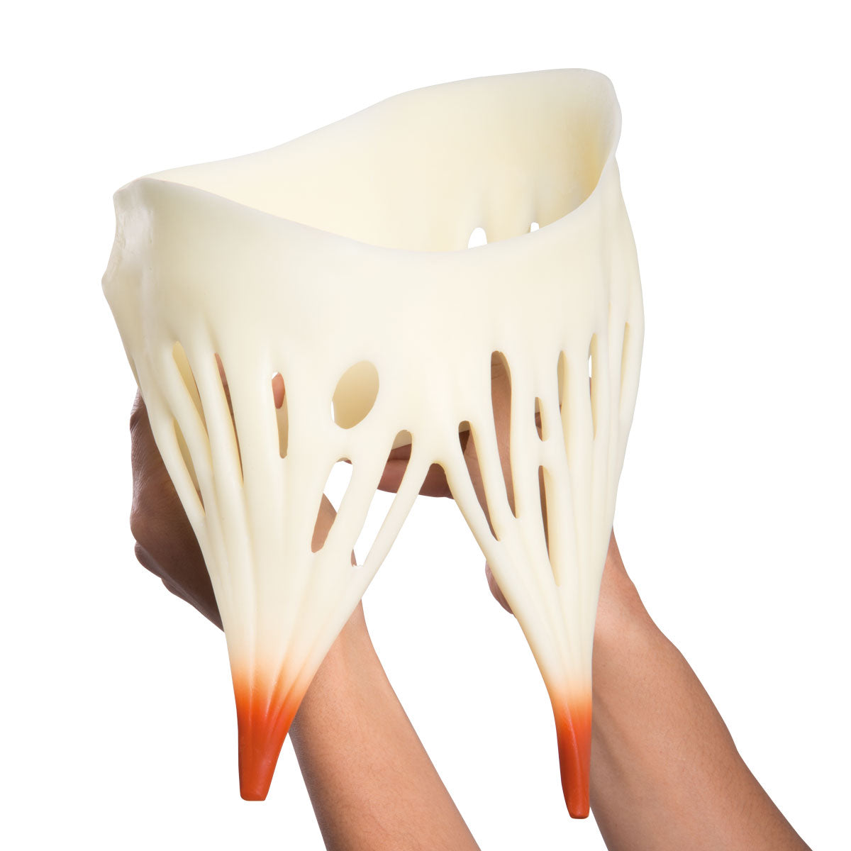 Giant Human Heart Model, 8 times Life-Size