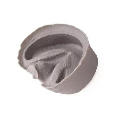 Hoof Capsule