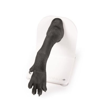 Bandage trainer canine paw