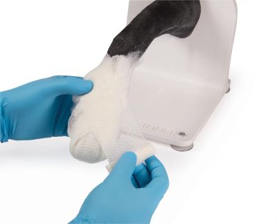 Bandage trainer canine paw