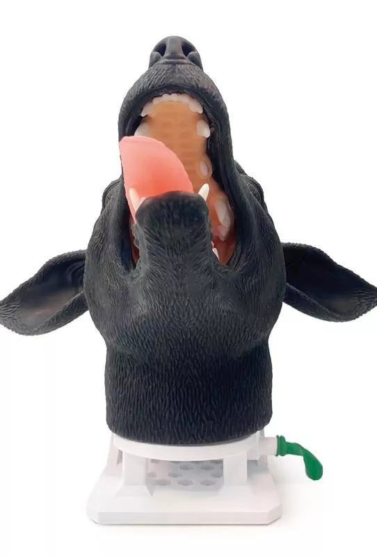 Canine Intubation Head