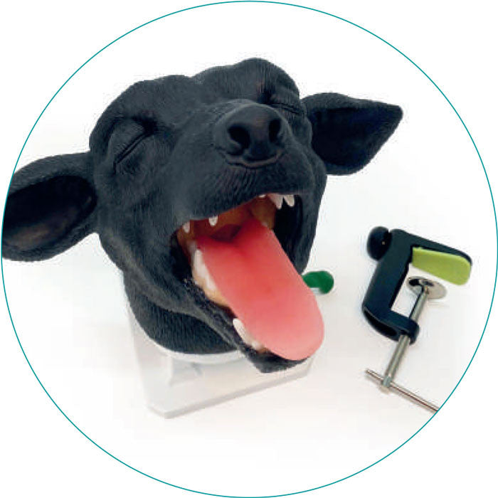 Canine Intubation Head | VET4600 Erler Zimmer - detail
