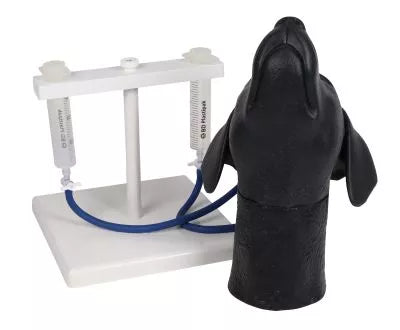 Canine jugular venipuncture head