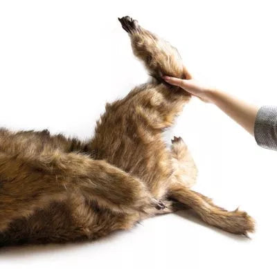 "Rocky" canine positioning manikin