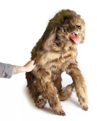 "Rocky" canine positioning manikin