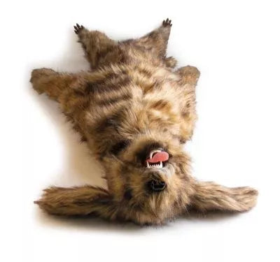 "Rocky" canine positioning manikin