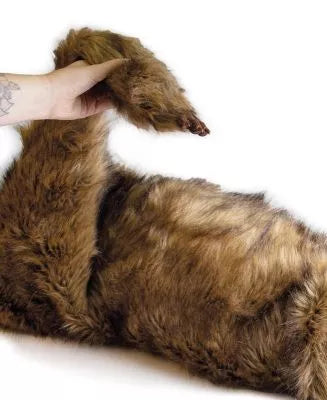 "Rocky" canine positioning manikin