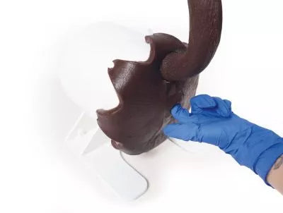 Canine Rectal Exam Task Trainer