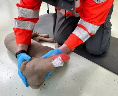 Canine CPR Manikin "CooPeR"