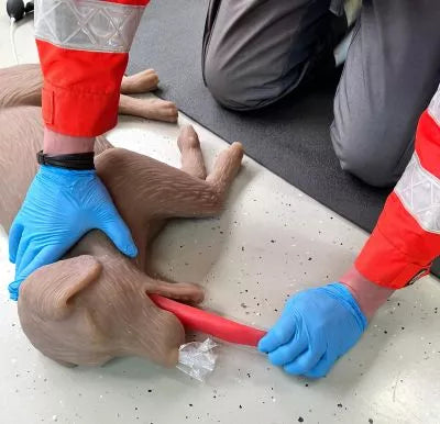 Canine CPR Manikin "CooPeR"