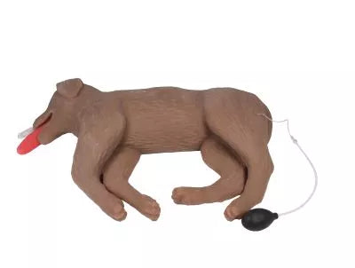 Canine CPR Manikin "CooPeR"