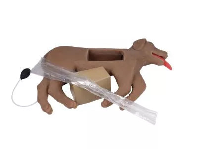 Canine CPR Manikin "CooPeR"