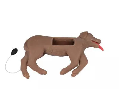 Canine CPR Manikin "CooPeR"